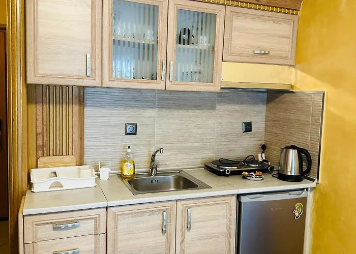 Meandros Center 1 公寓 Kallithea (Chalkidiki)